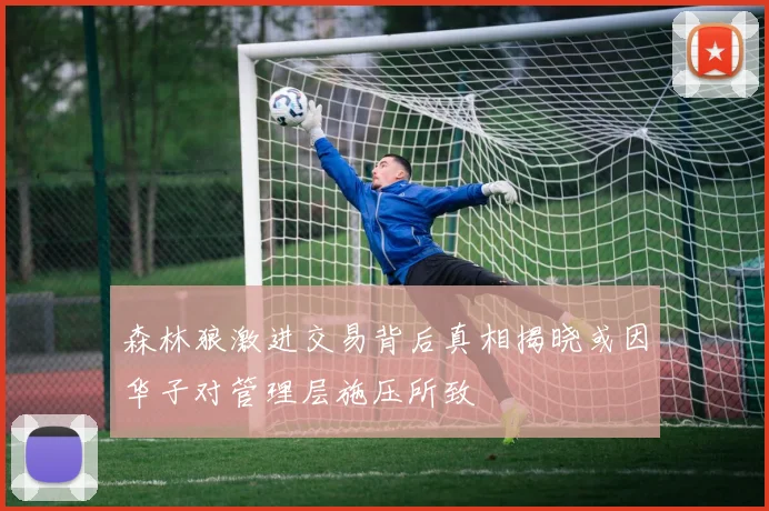 森林狼激进交易背后真相揭晓或因华子对管理层施压所致